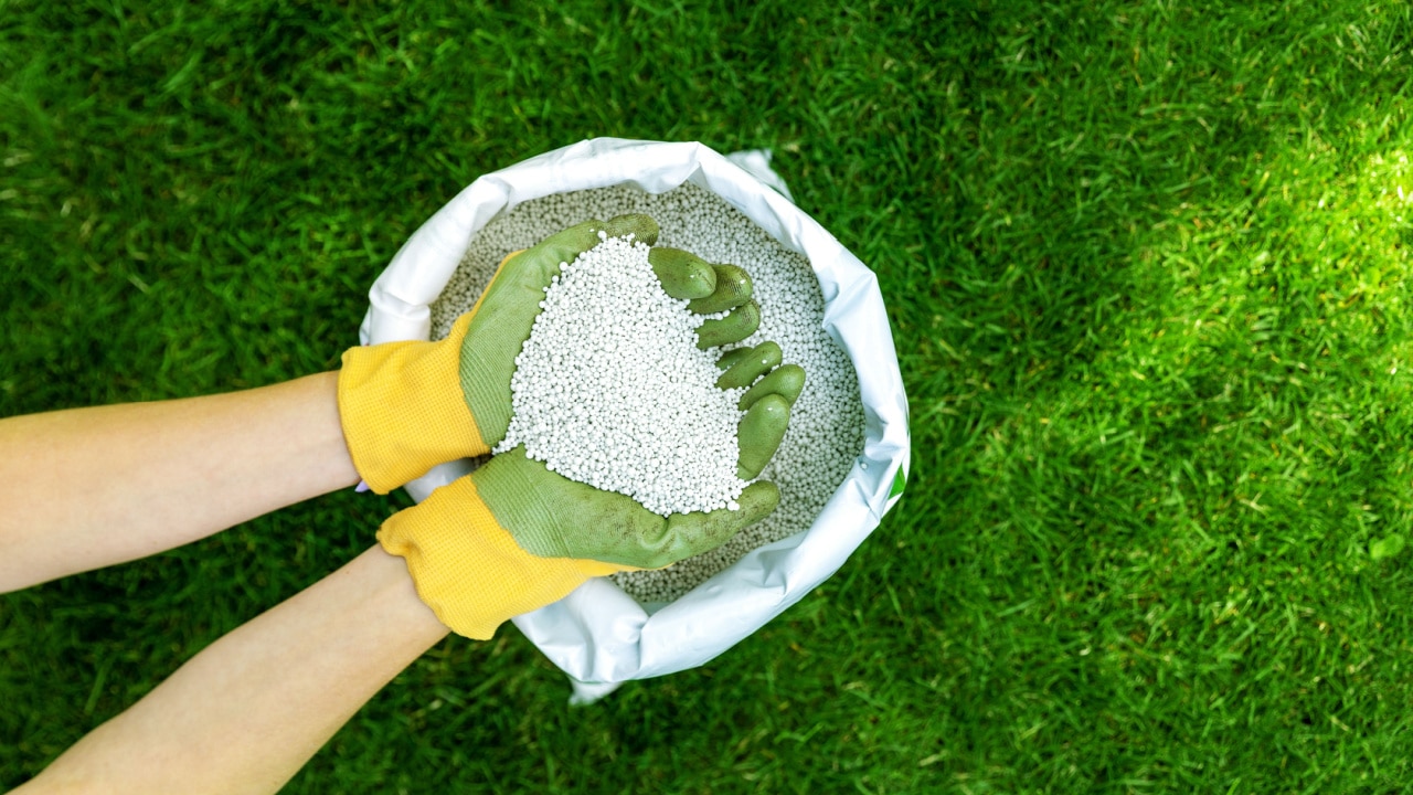 DIY Dry Fertilizers