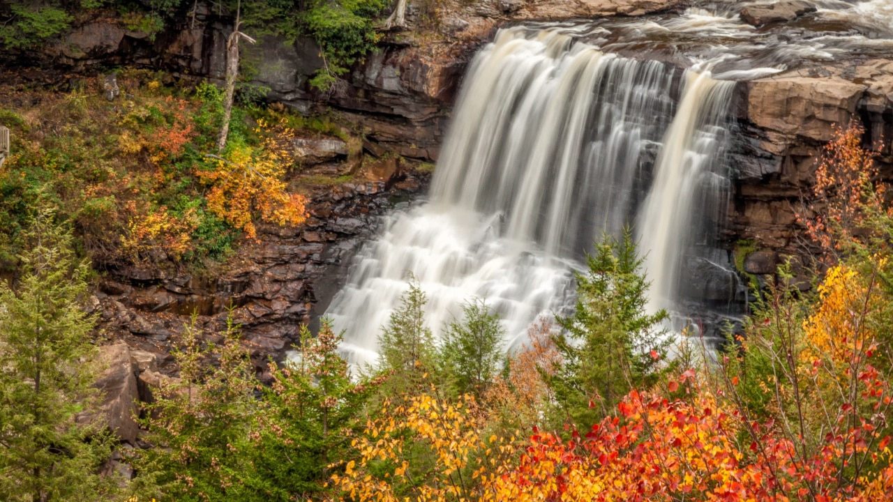 Blackwater Falls This is one of West Virginia's lovely fall waterfall scenes.